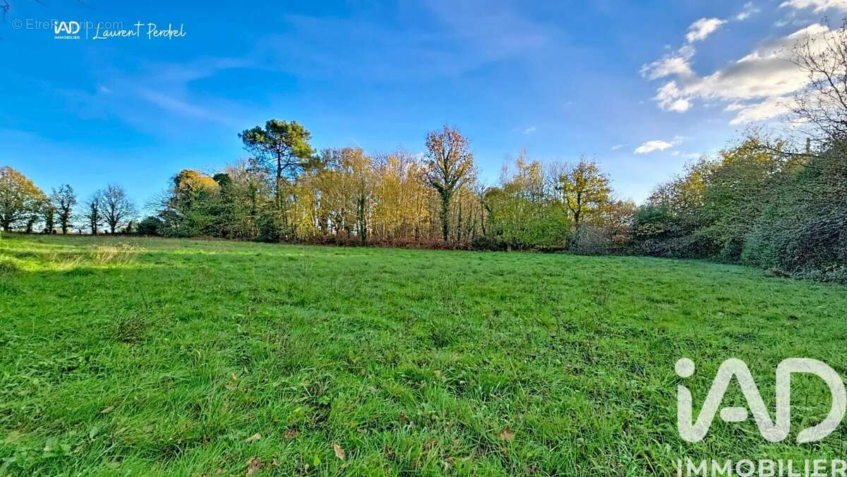 Photo 5 - Terrain à ALLAIRE
