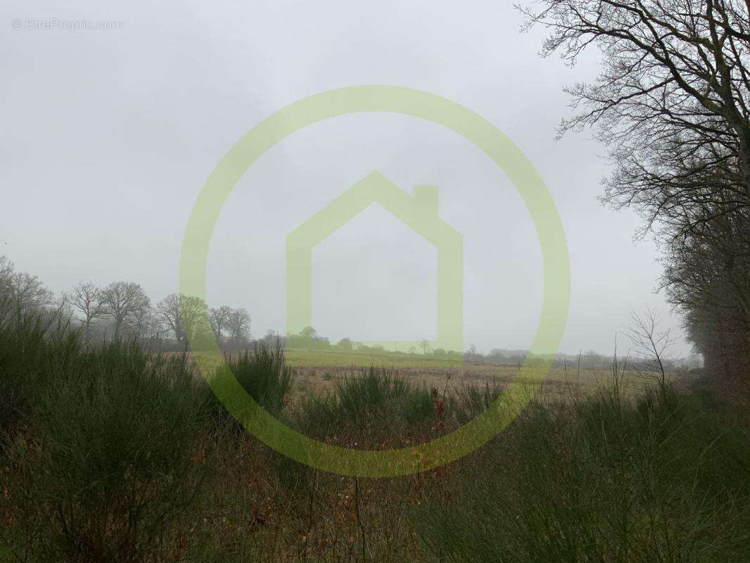 Terrain à LIGNEROLLES