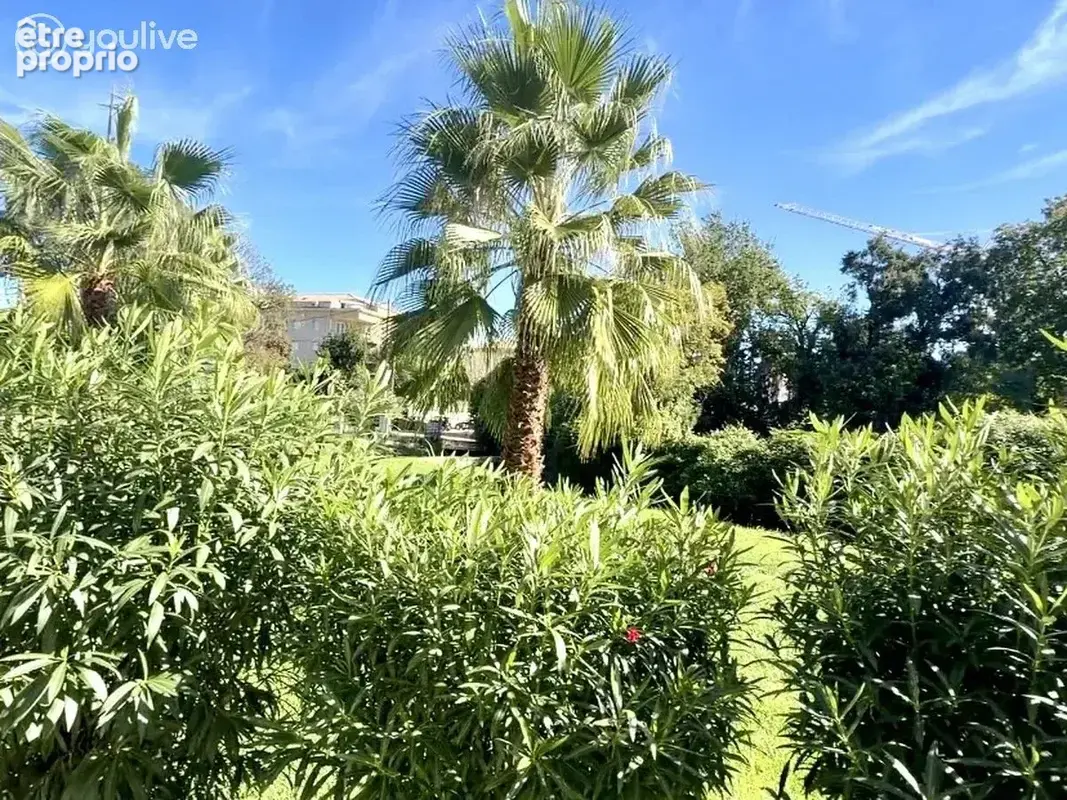 Moriani appartement t2 avec grande terrassse - photo 1