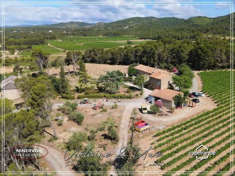 Domaine viticole d'exception de 47 hectares avec mas en pierre, gîtes et vignoble AOC Minervois – Hérault - photo 12