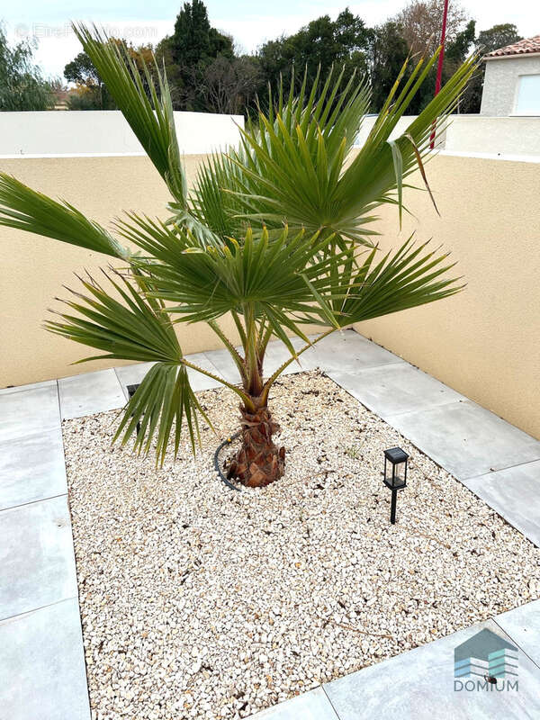 Maison à CANET