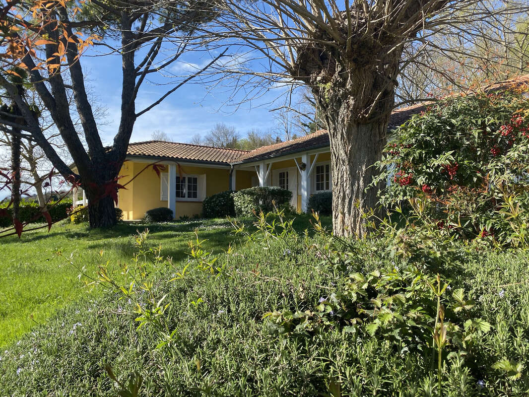 Maison à VIGOULET-AUZIL