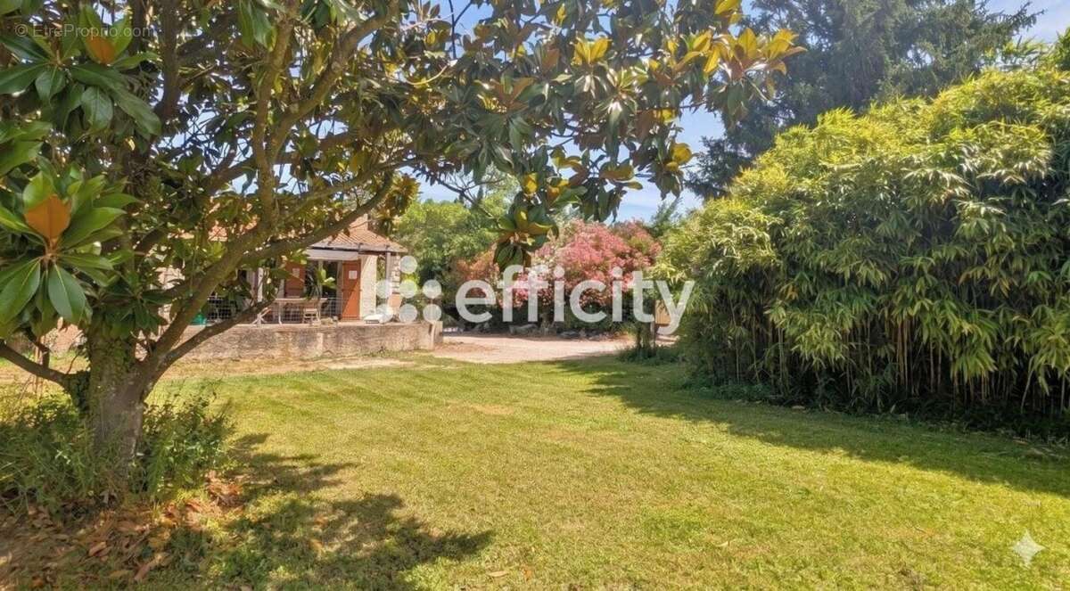 Maison située en campagne - photo 3