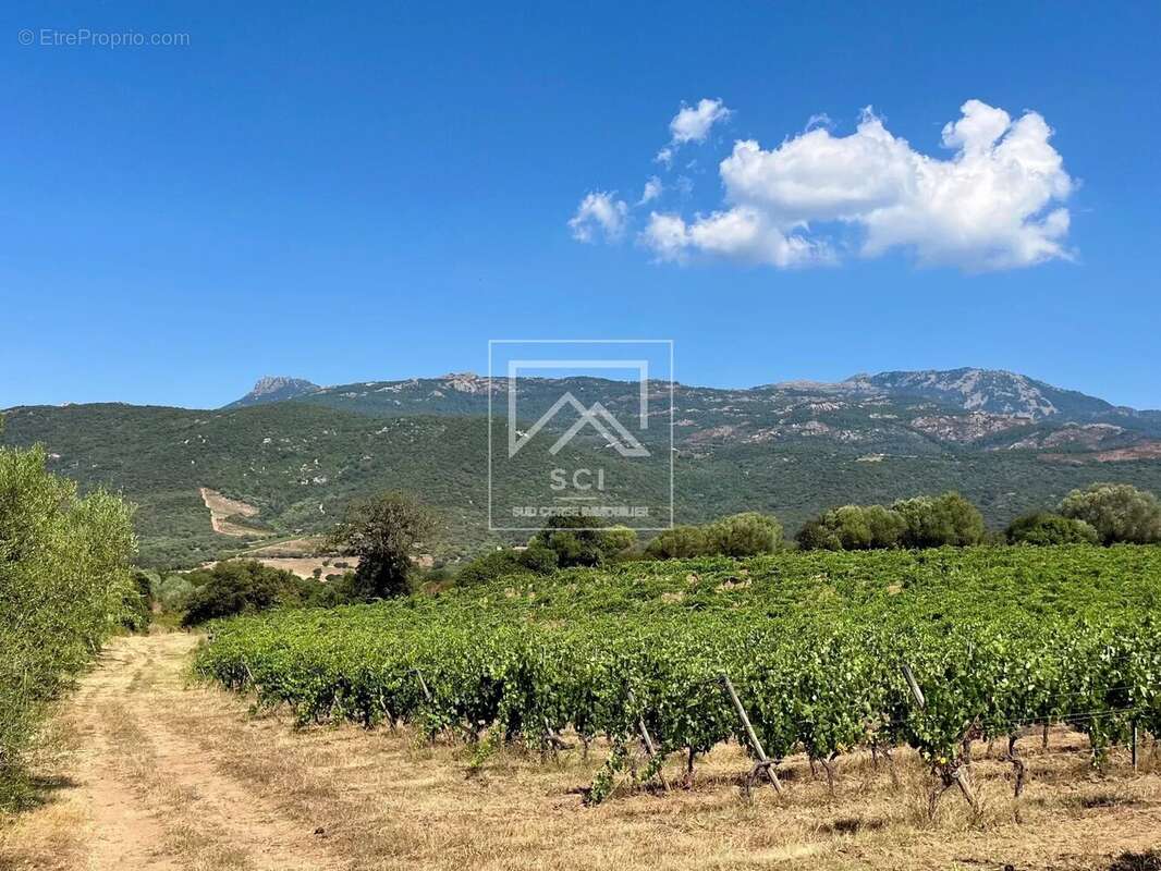 Maison à PORTO-VECCHIO