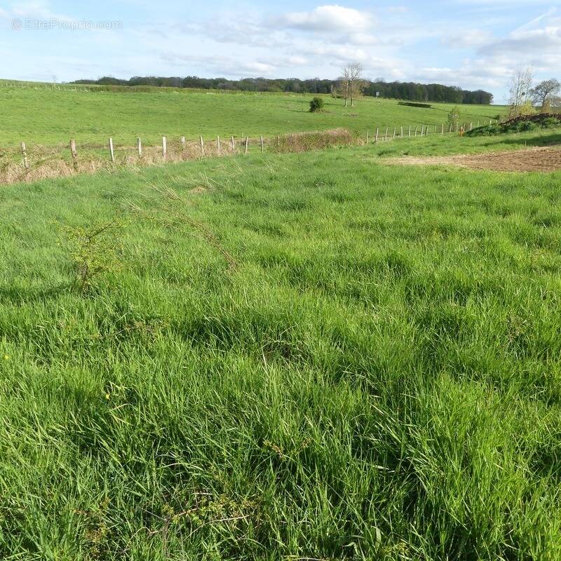 Terrain à SEMUR-EN-AUXOIS