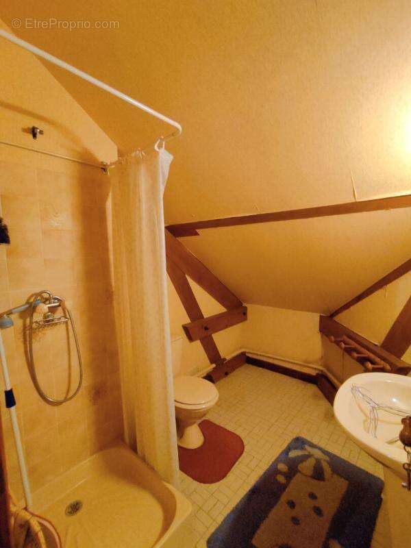 Maison à LA ROCHE-POSAY