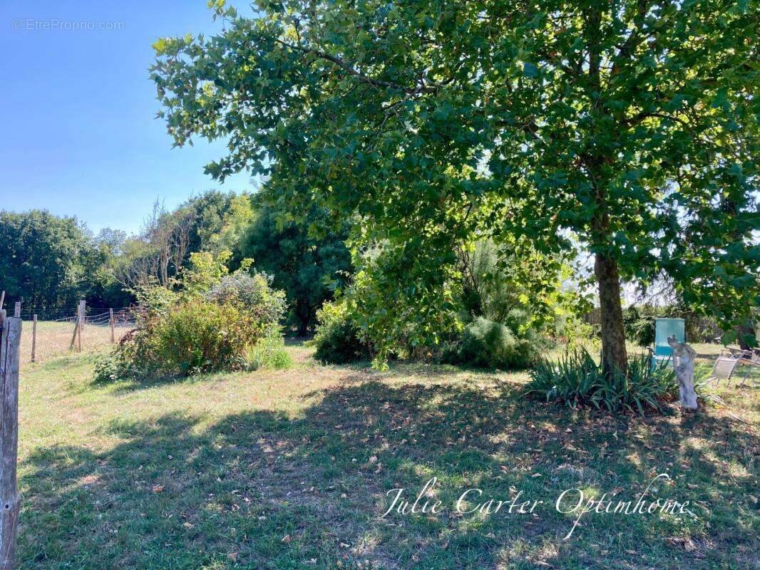 Propriété équestre  (72) - photo 3