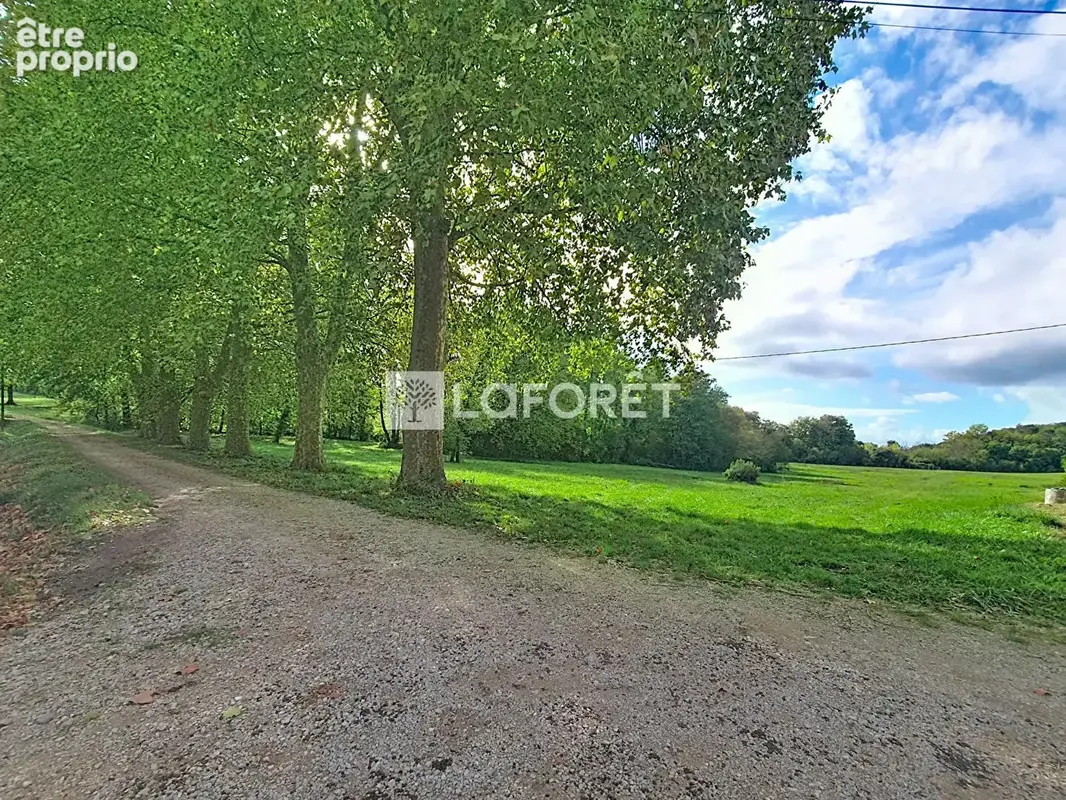 Propriété de 116 hectares !!! Monclar-de-Quercy - photo 11