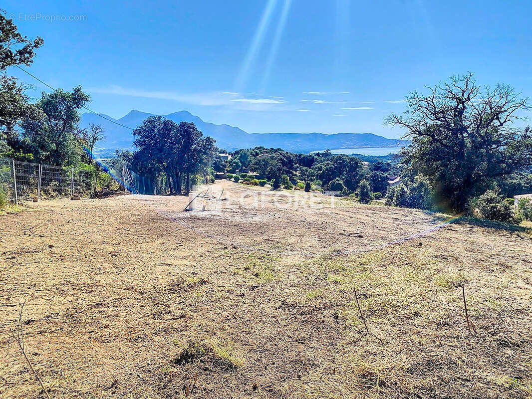 Terrain à CALVI