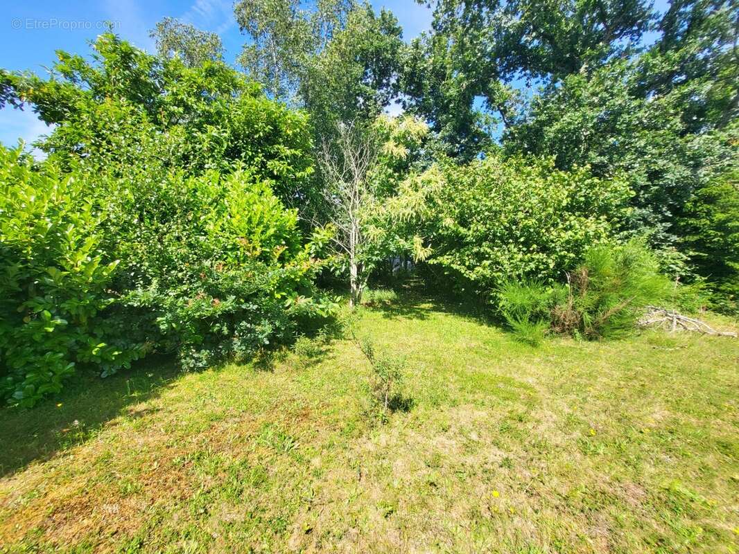 Terrain constructible à vendre  ARGOL (29) - photo 8
