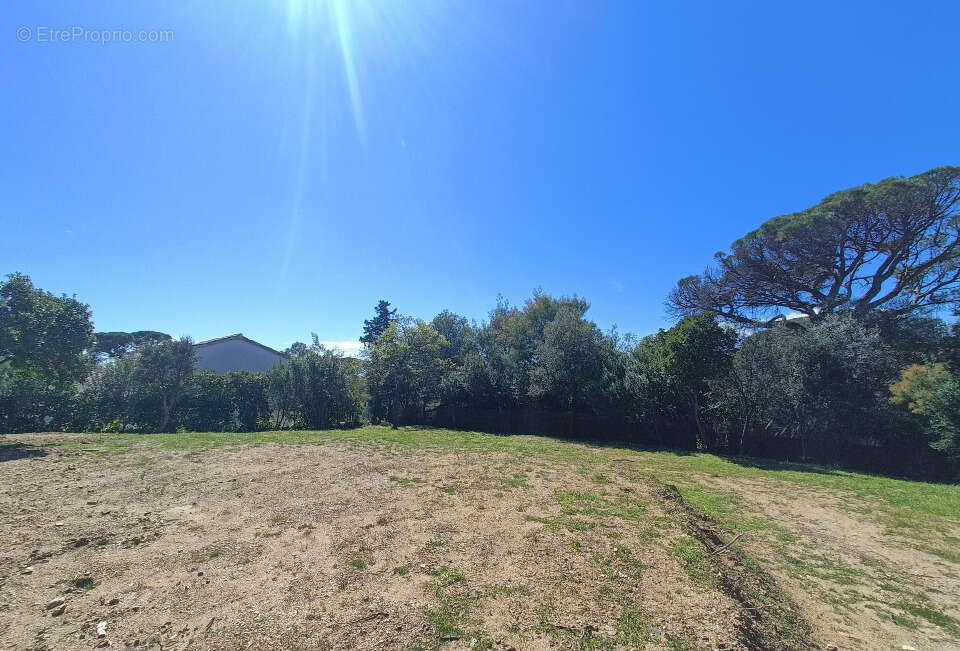 Terrain à LES ISSAMBRES