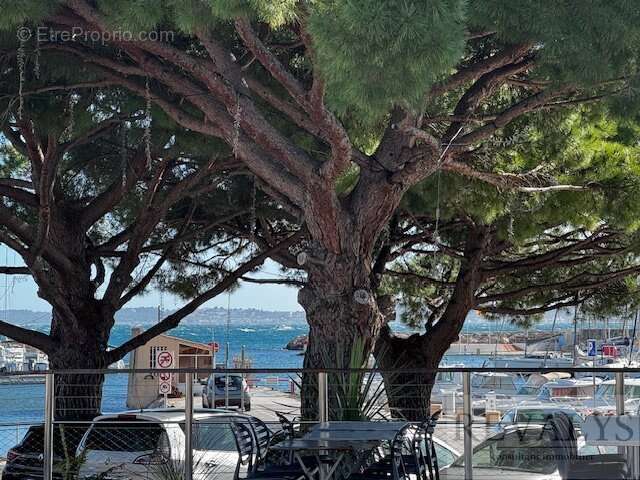 Appartement à CARQUEIRANNE