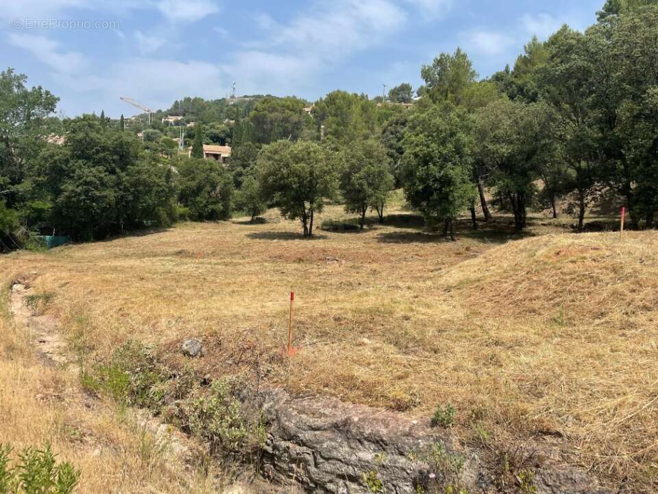 Terrain 800 m² à Taradeau  - photo 2