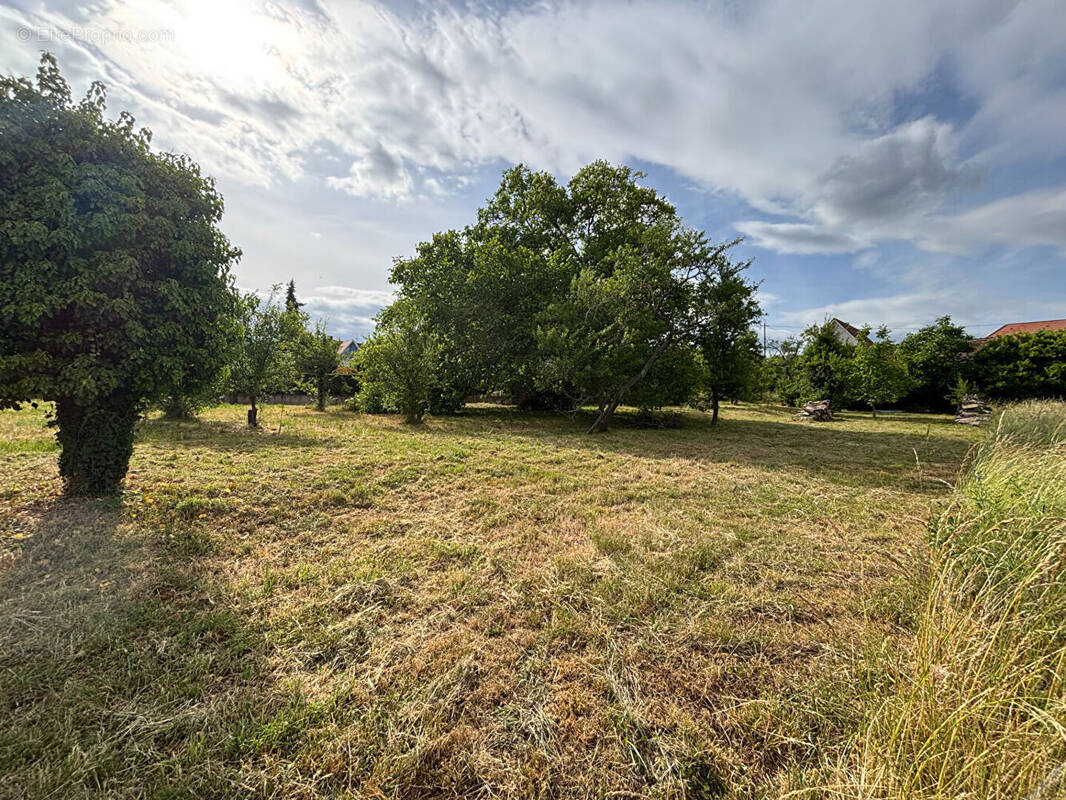 Terrain à BERNARDSWILLER