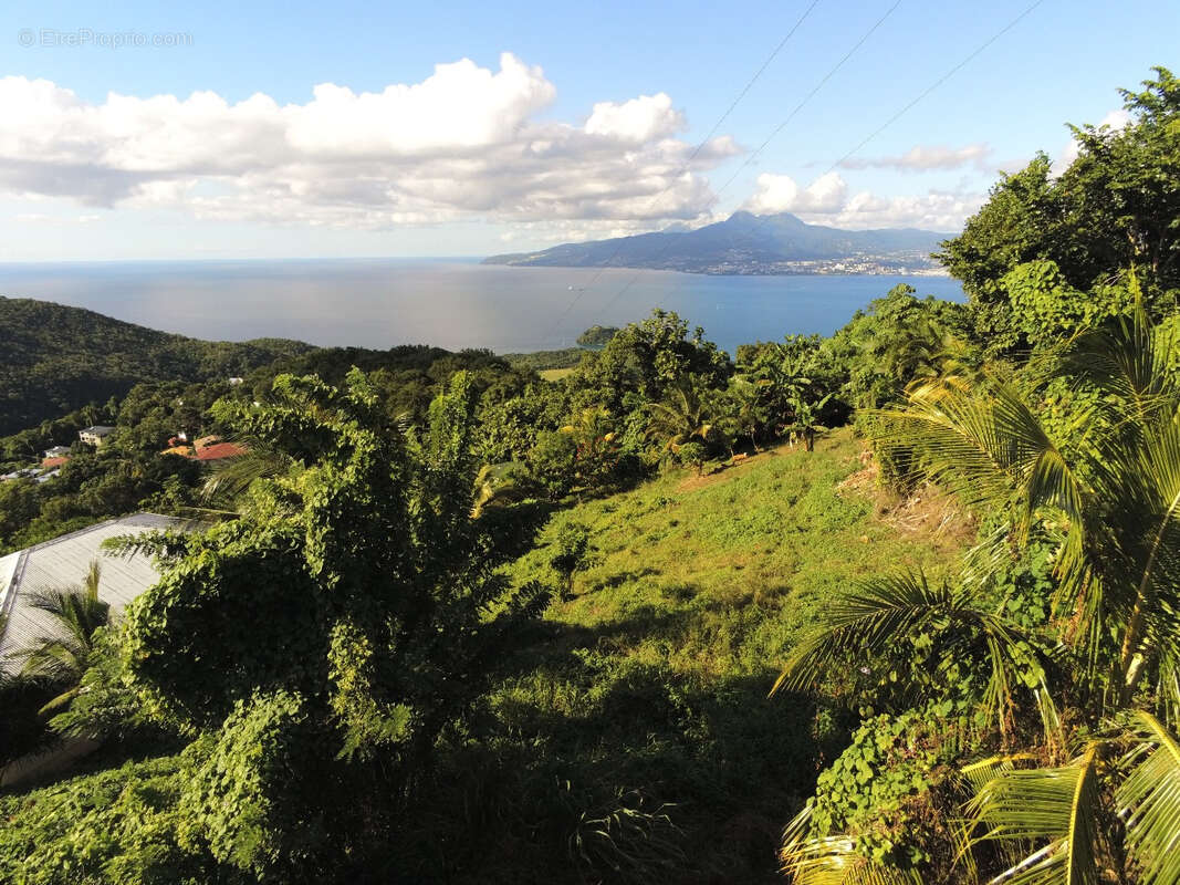 Terrain à LES ANSES-D&#039;ARLET