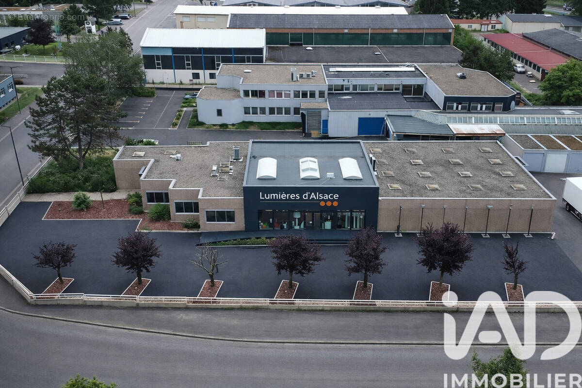 Photo 1 - Commerce à ILLKIRCH-GRAFFENSTADEN