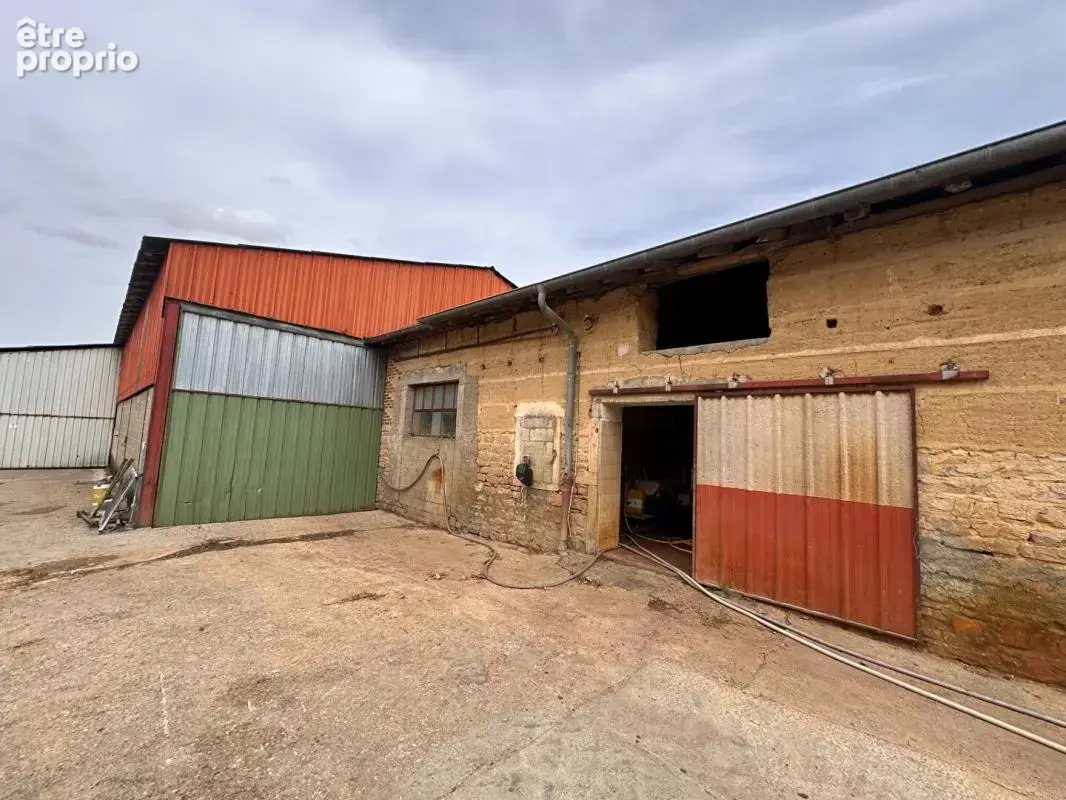 **exclusivite** saint jean sur reyssouze - ferme de caractère - 8 bâtiments -  210 000 m² de terrain - maison de 148 m² - photo 10