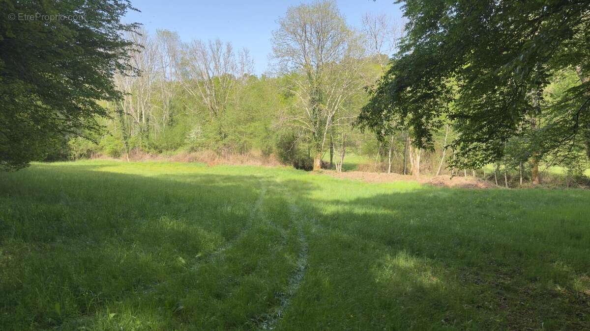 Photo 7 - Terrain à LES EYZIES-DE-TAYAC-SIREUIL