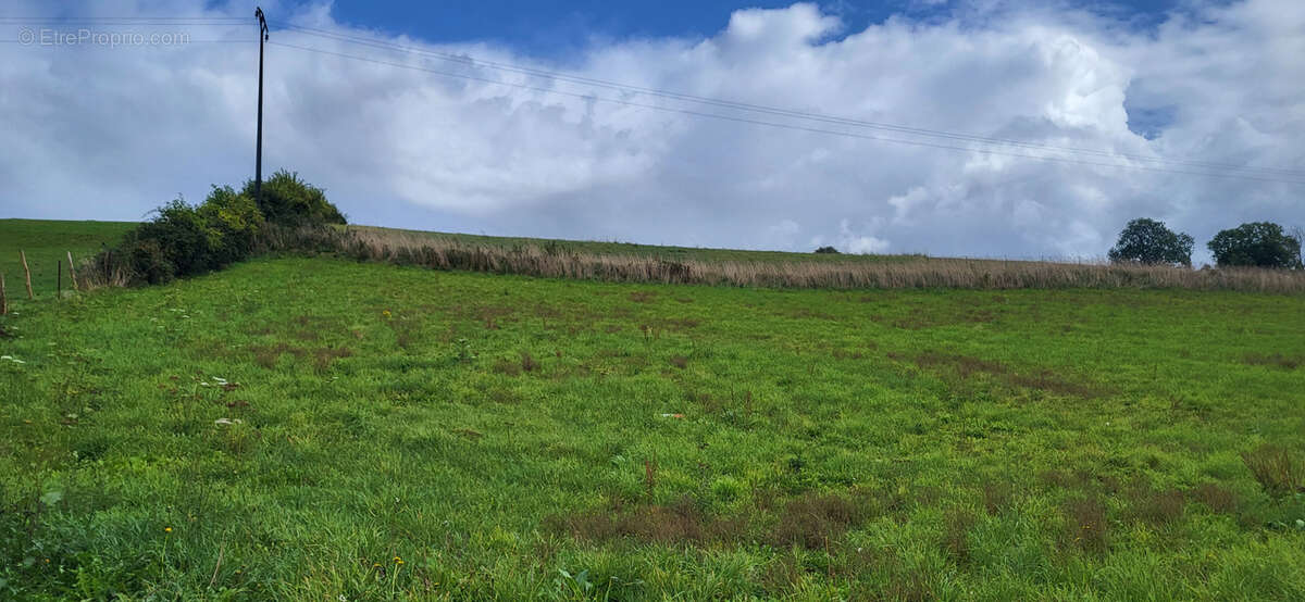 Terrain à TORCY-LE-PETIT