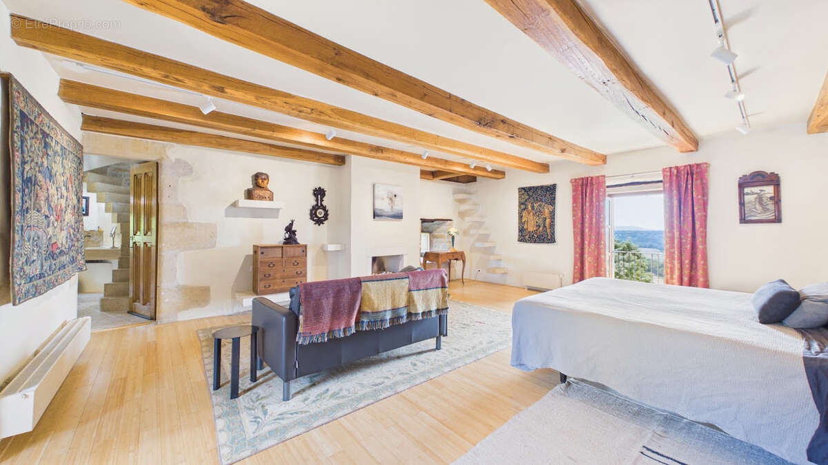 Château historique de 1501 avec vue panoramique et commodités à pied - photo 23