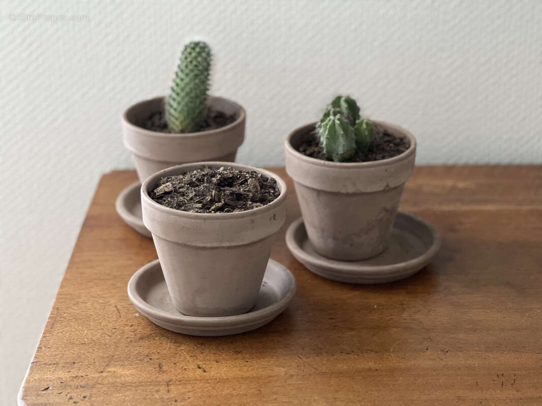 Maison à SAMOIS-SUR-SEINE