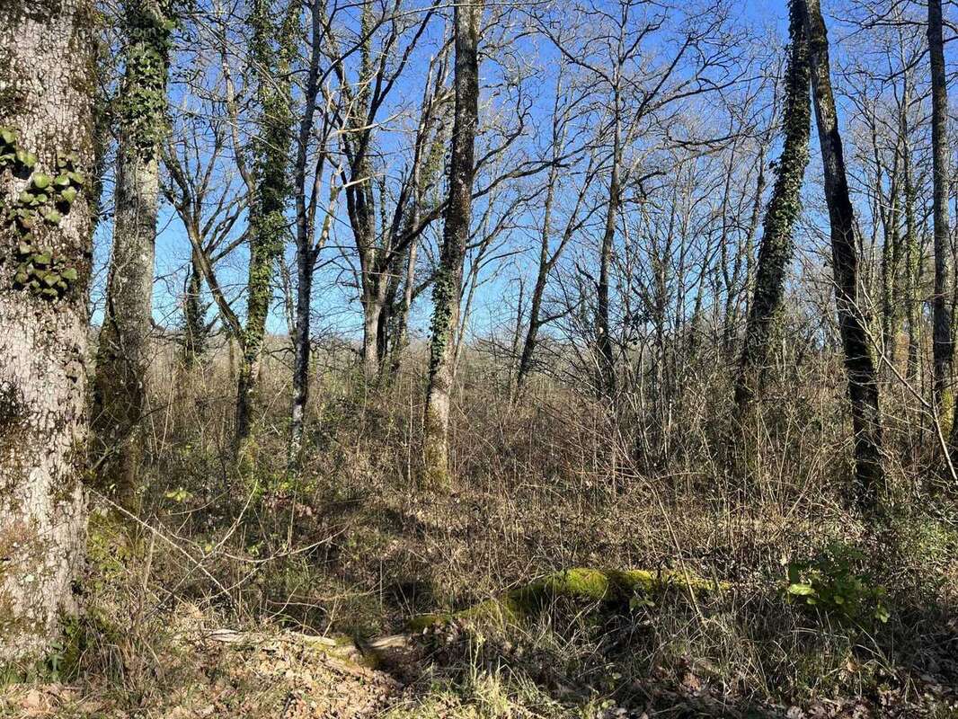 Terrain à CAHORS