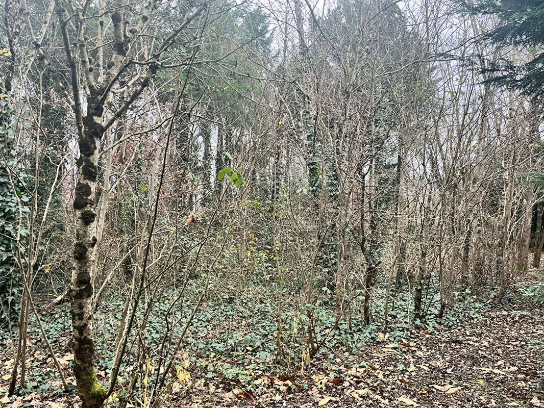 Maison à VIENNE-EN-VAL