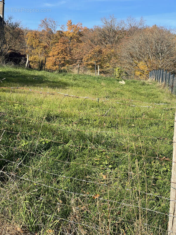 Terrain à PLANCHER-BAS