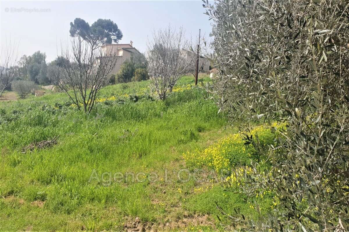 Terrain à LE CANNET