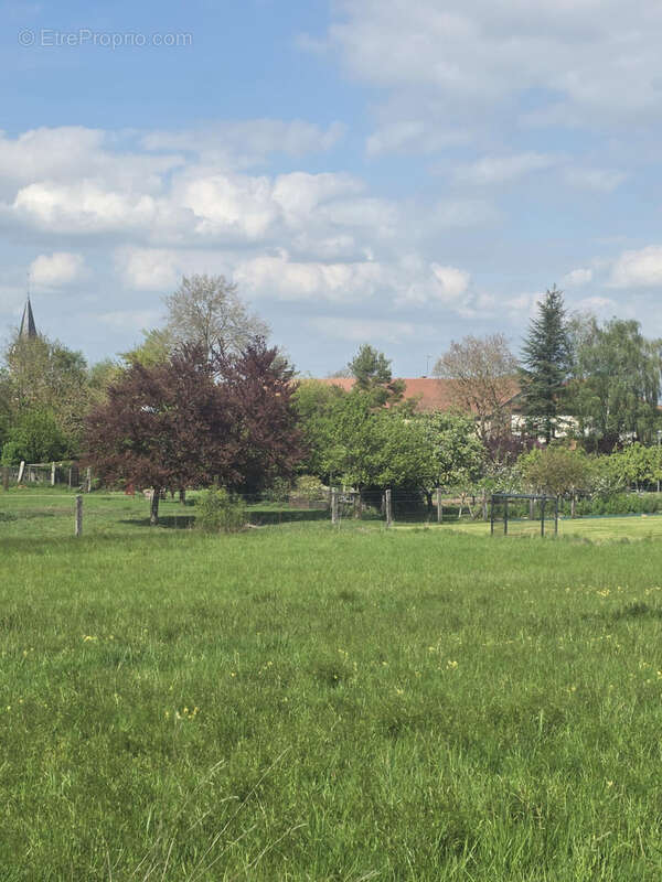 Terrain à VIGNEULLES-LES-HATTONCHATEL