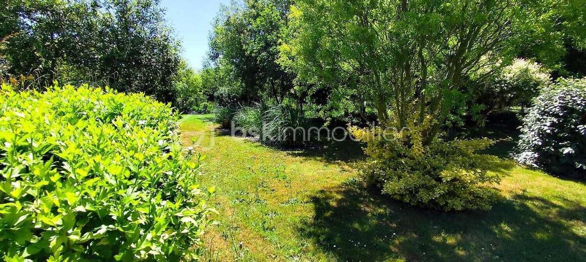 Maison à TORCE-VIVIERS-EN-CHARNIE