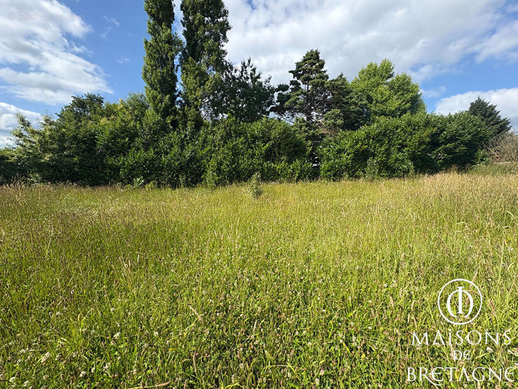 Longère en pierres à Saint Thurien 121 m2 - photo 5