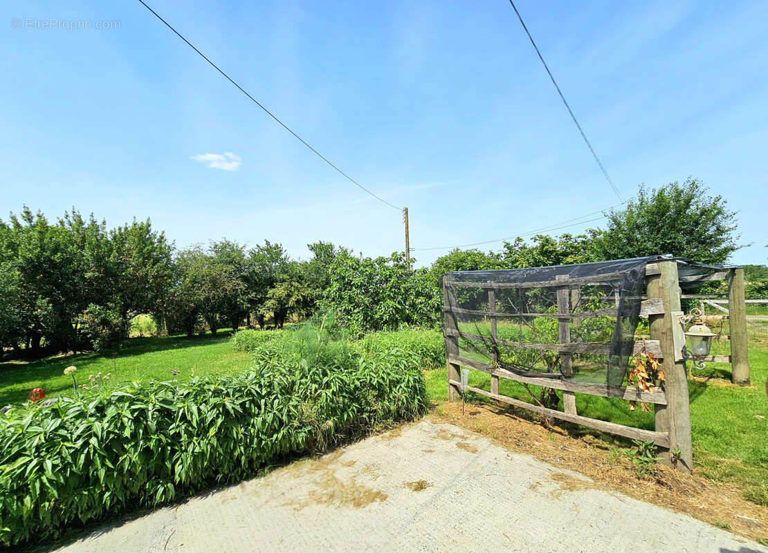 Corps de ferme a torfou - photo 12