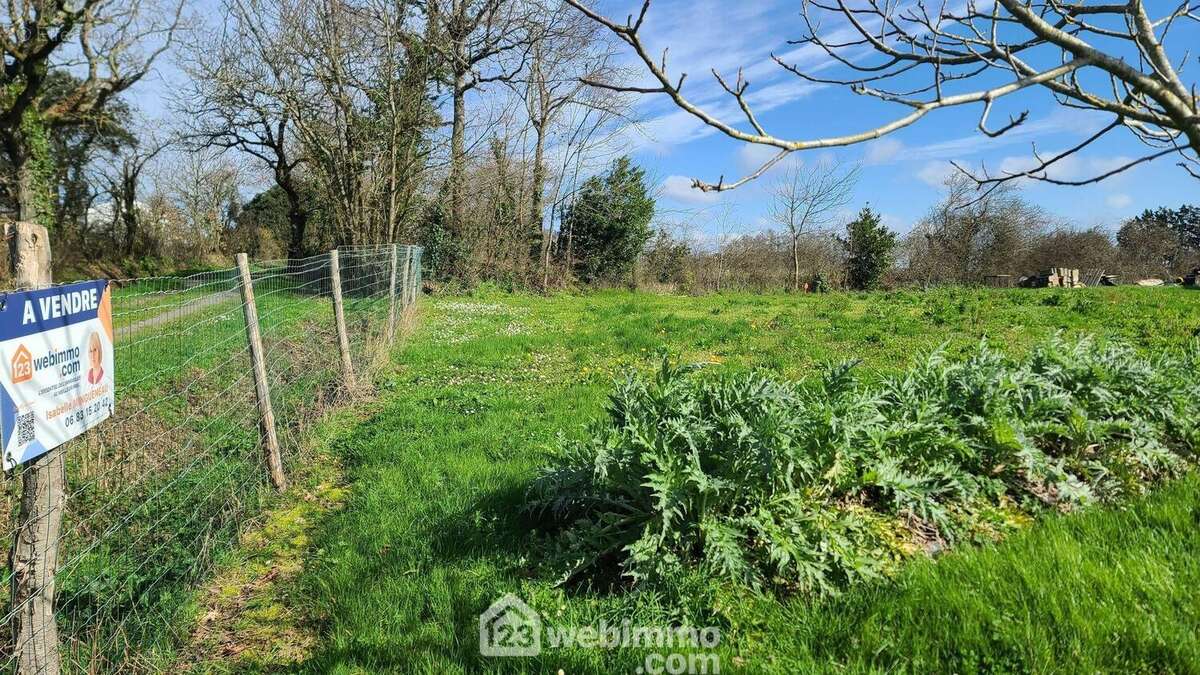 Chemin communale pour aller vous promener - Terrain à TALMONT-SAINT-HILAIRE