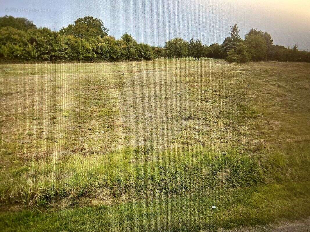 Terrain à VILLEBLEVIN