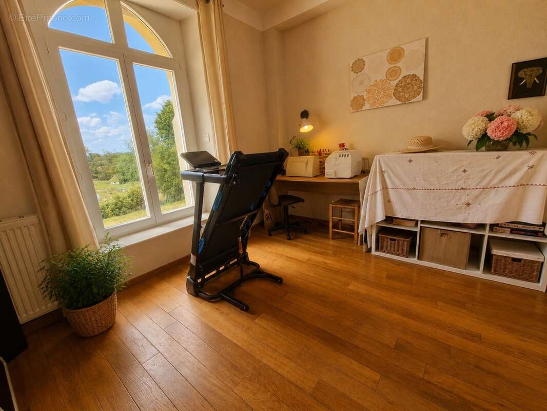 Propriete à vendre 9 pièces MIRECOURT (88) PROPRIÉTÉ D'EXCEPTION avec PISCINE sur TERRAIN clos et arboré de + de 6.500 m2 - photo 11
