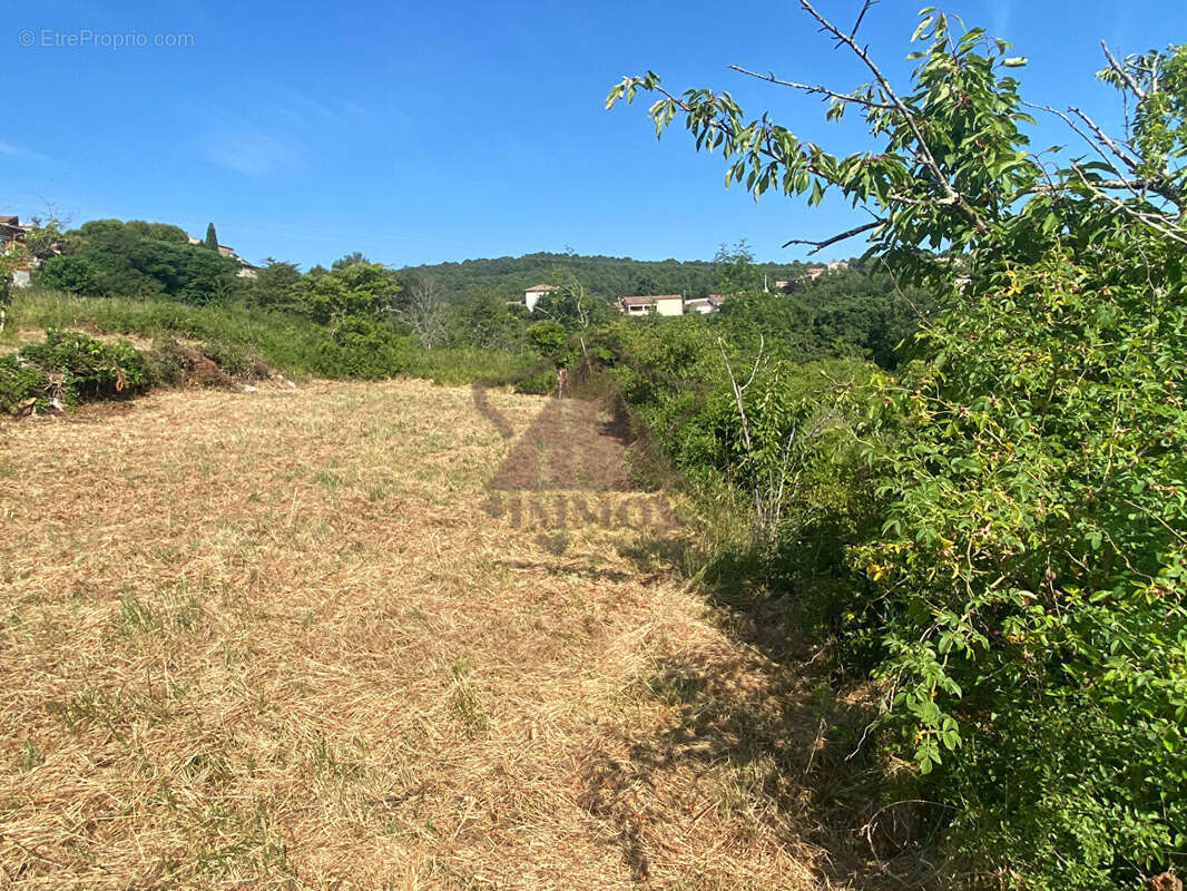 Terrain - environnement magnifique - photo 3