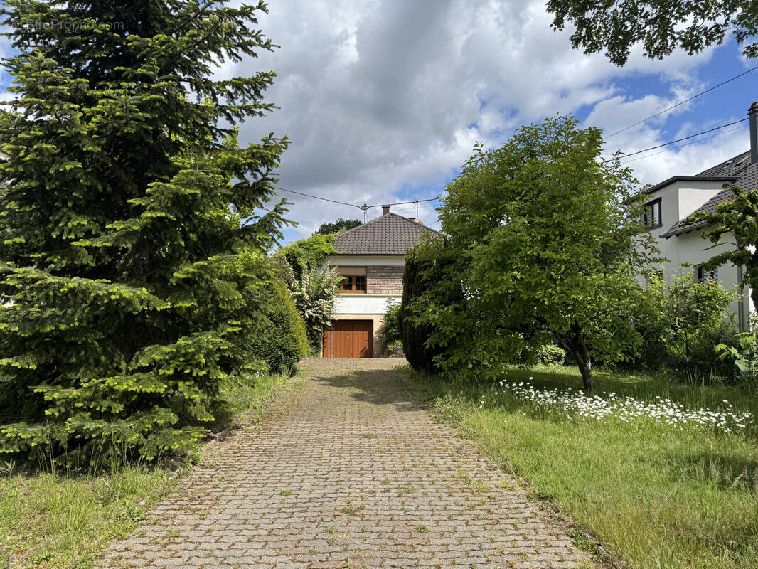 Maison à PLOBSHEIM
