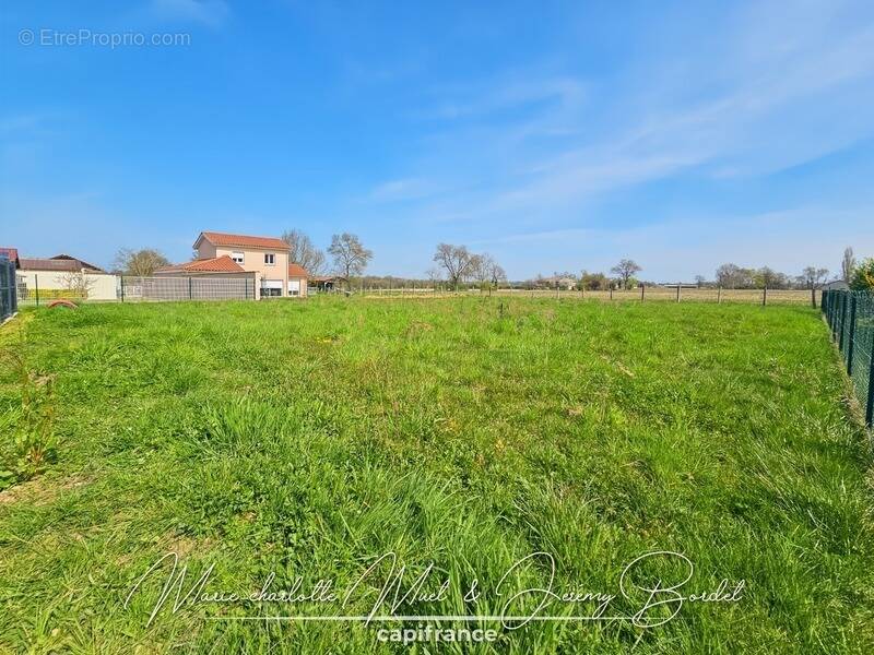 Terrain à BAGE-LA-VILLE