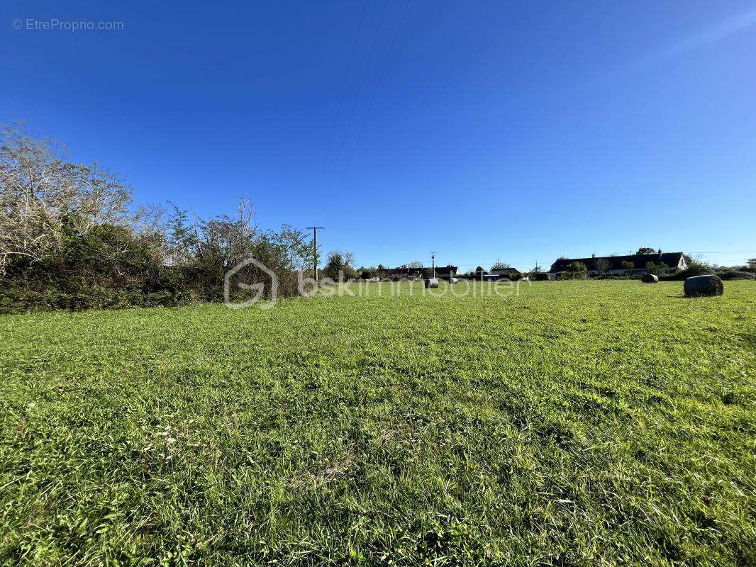 Terrain à JUSSY-LE-CHAUDRIER