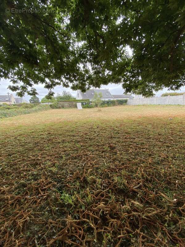 Terrain 404 m² à Groix  - photo 6