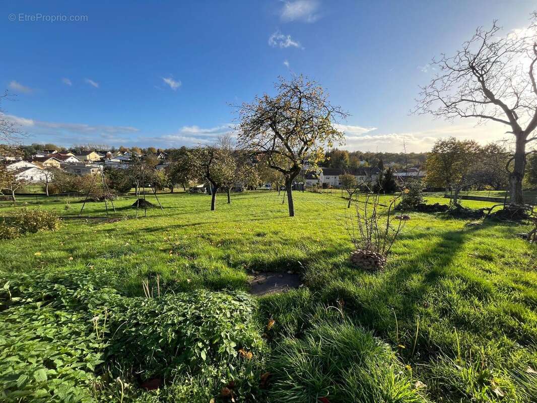 Photo 2 - Maison à SCHOENECK