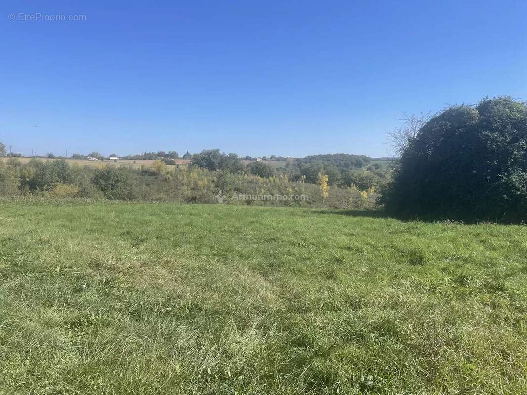 Terrain à BELLEGARDE