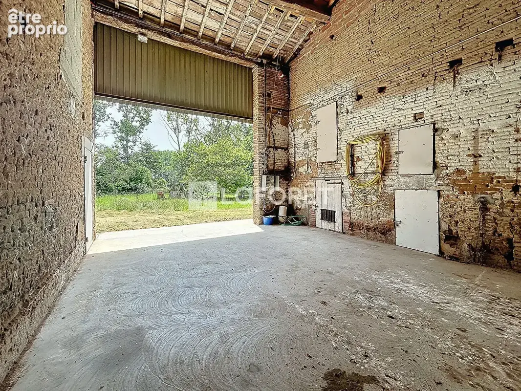 Idéal promoteur,10 minutes de Fronton, ferme avec piscine et dépendances !!!  4660 m² de terrain ! - photo 16