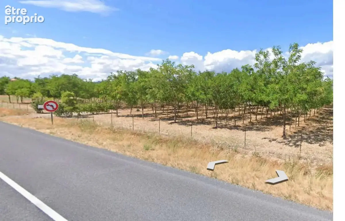 Terrain cloture de 9455 m² a usage d agrement ou agricole - ideal apiculteur - photo 2