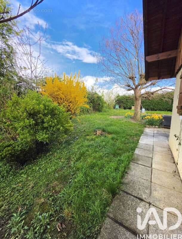 Photo 2 - Maison à SAINT-JULIEN-EN-GENEVOIS