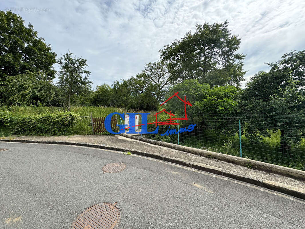 Terrain à SAVIGNY-LE-TEMPLE