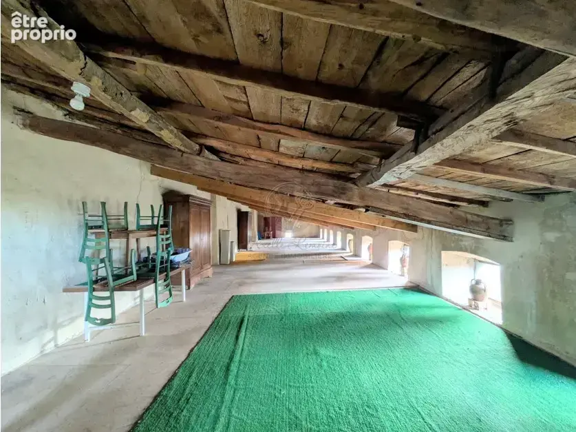 Busséol   Château du XVIIIᵉ siècle au cœur d’un domaine de plus d’un hectare - photo 19