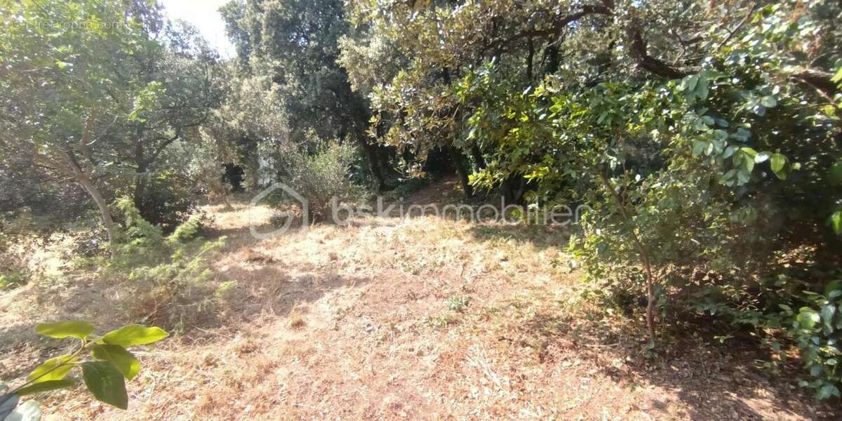 Terrain à PELISSANNE