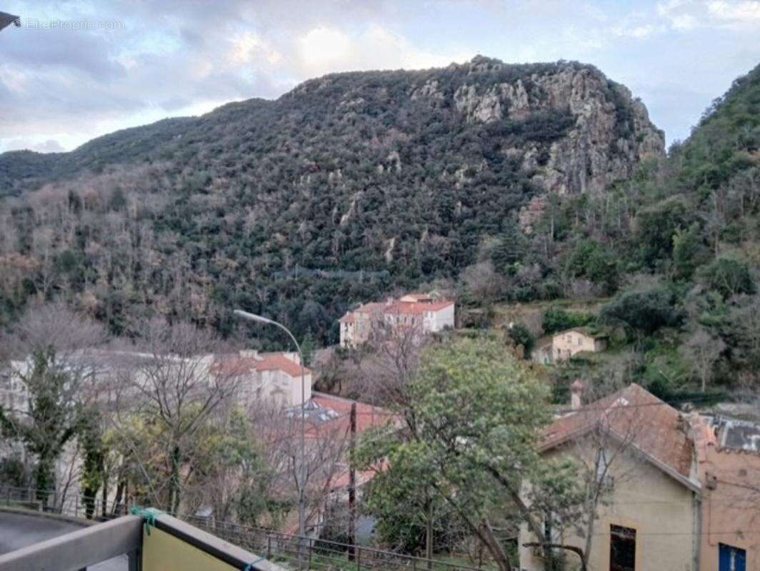 Appartement à vendre 1 pièces AMELIE LES BAINS PALALDA (66) - photo 6